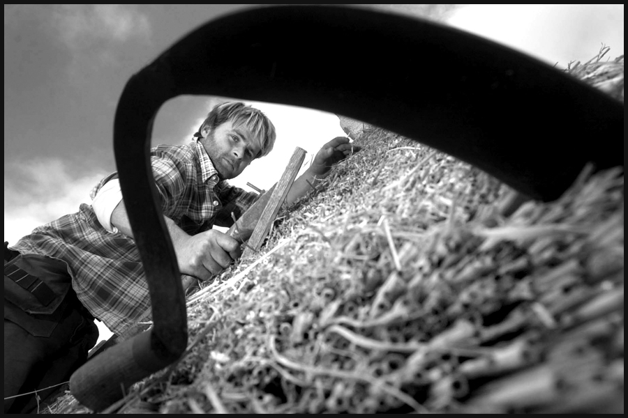 Tom Dunbar a thatcher from Martock, Somerset, practices his craft using tradational thatching methods on a house nr Thorncombe. Published by The Independent.